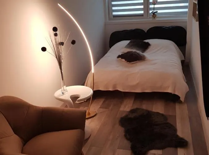 Dmuchawiec Jelenia Gora